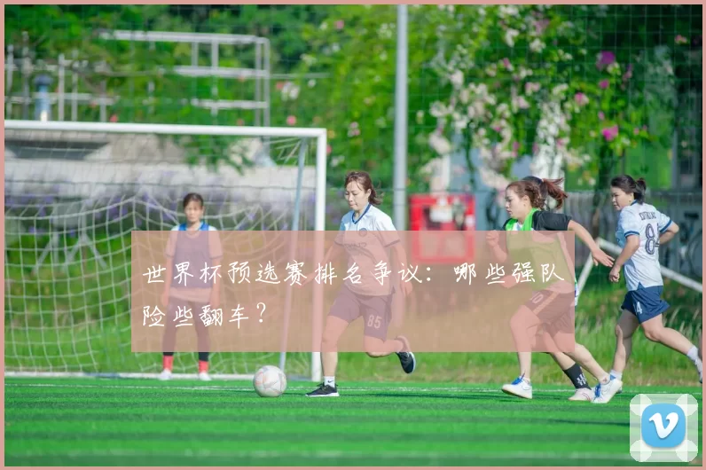 世界杯预选赛排名争议:哪些强队险些翻车?