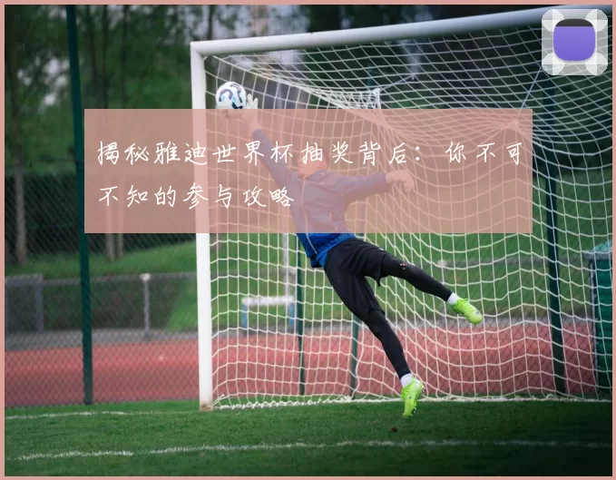 揭秘雅迪世界杯抽奖背后:你不可不知的参与攻略