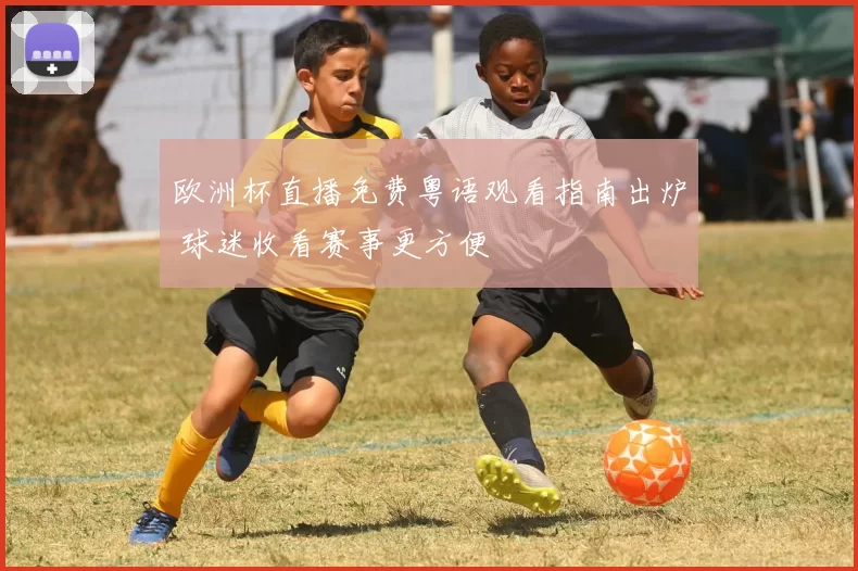 欧洲杯直播免费粤语观看指南出炉 球迷收看赛事更方便