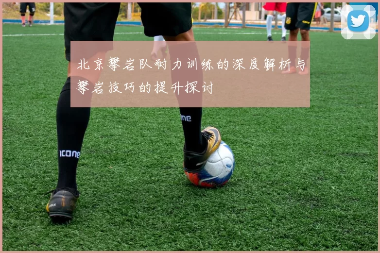 北京攀岩队耐力训练的深度解析与攀岩技巧的提升探讨