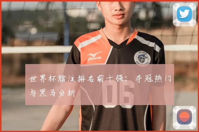 世界杯赌注排名前十强:夺冠热门与黑马分析