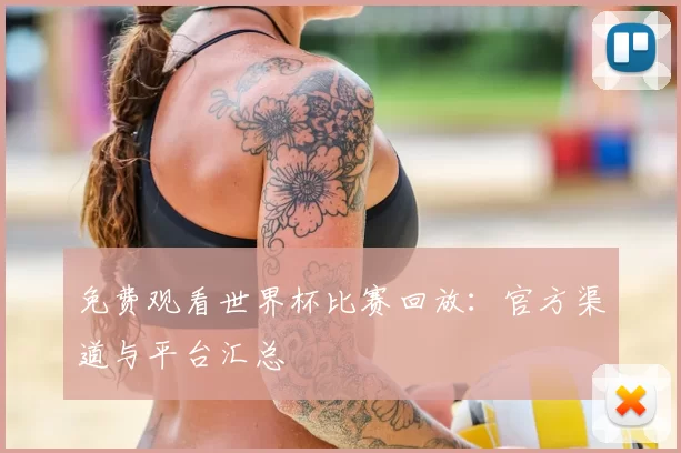 免费观看世界杯比赛回放：官方渠道与平台汇总