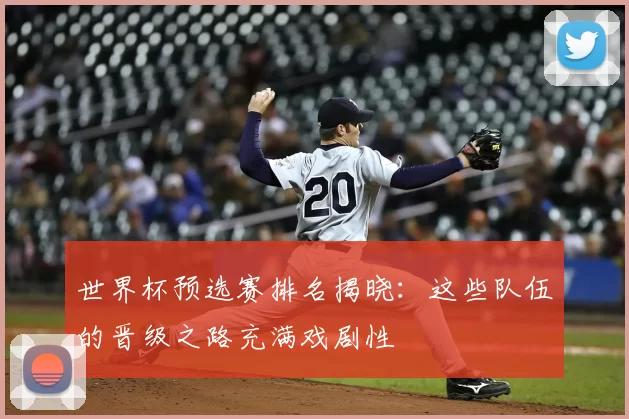 世界杯预选赛排名揭晓:这些队伍的晋级之路充满戏剧性