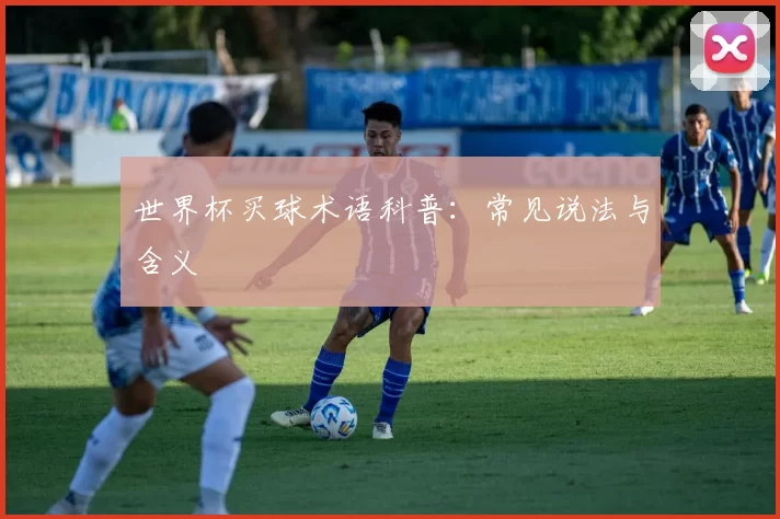 世界杯买球术语科普:常见说法与含义