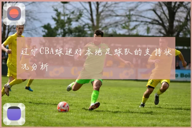 辽宁CBA球迷对本地足球队的支持状况分析