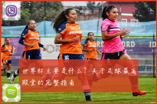 世界杯主要是什么？关于足球最高殿堂的完整指南
