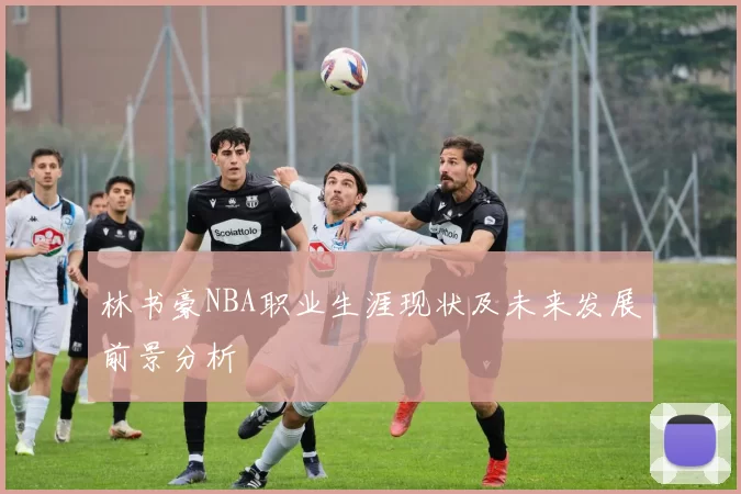 林书豪NBA职业生涯现状及未来发展前景分析