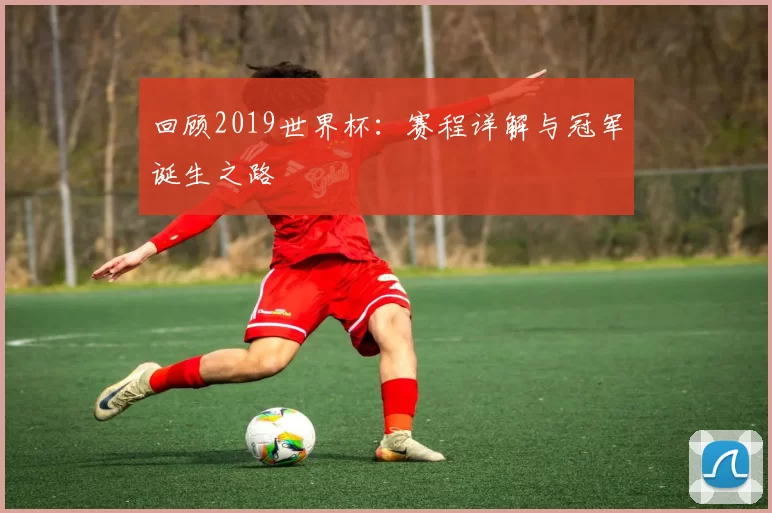 回顾2019世界杯：赛程详解与冠军诞生之路