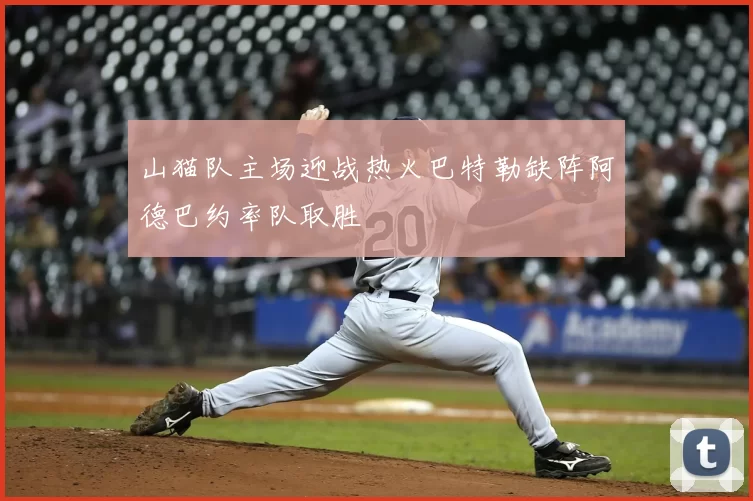 山猫队主场迎战热火巴特勒缺阵阿德巴约率队取胜