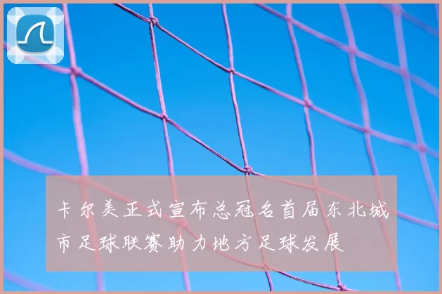 卡尔美正式宣布总冠名首届东北城市足球联赛助力地方足球发展