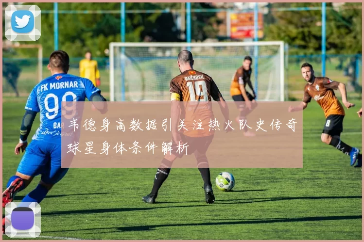 韦德身高数据引关注热火队史传奇球星身体条件解析