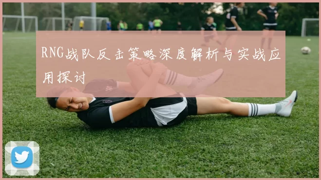 RNG战队反击策略深度解析与实战应用探讨