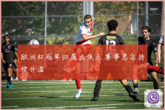 欧洲杯冠军归属成焦点 赛事悬念持续升温