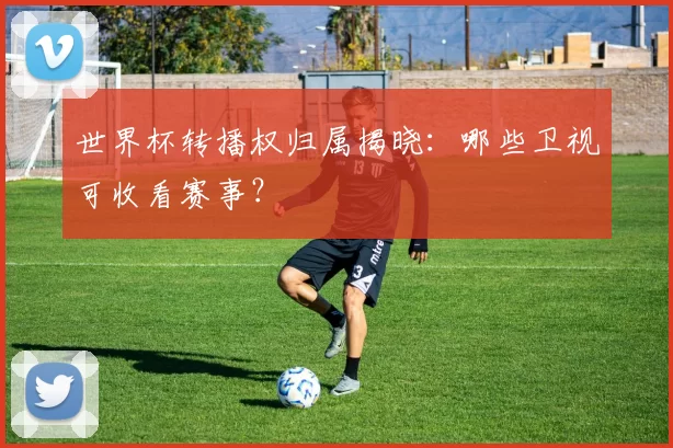 世界杯转播权归属揭晓：哪些卫视可收看赛事？
