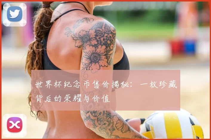 世界杯纪念币售价揭秘:一枚珍藏背后的荣耀与价值